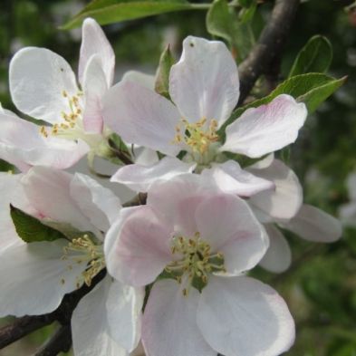 tsa_PhotoclubHomeLearning (53)